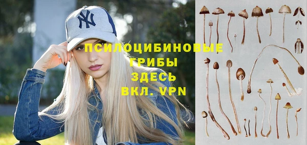 spice Абинск